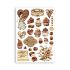 Stamperia Washi Pad - Coffee and Chocolate - A5 med 8 sider - SBW01