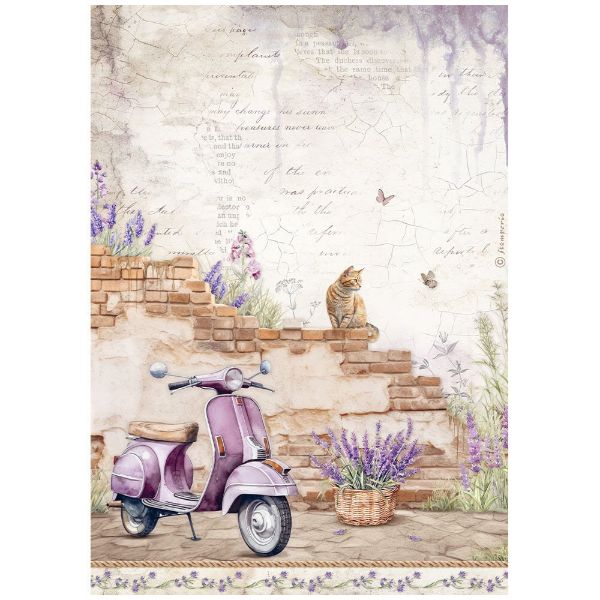 Stamperia Lavender - Vespa - A4 Ris Papir 1 ark - DFSA4885