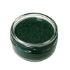 Cosmic Shimmer Pearl Texture Paste - Glitter Kiss - Hunter Green - CSGKHUNT